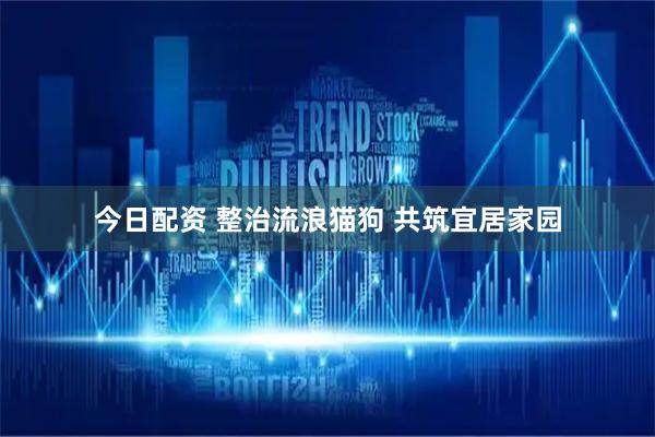 今日配资 整治流浪猫狗 共筑宜居家园